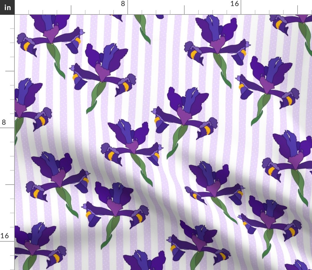 Iris Flutter! (Dutch Blue/violet) - mauve stripe, medium 