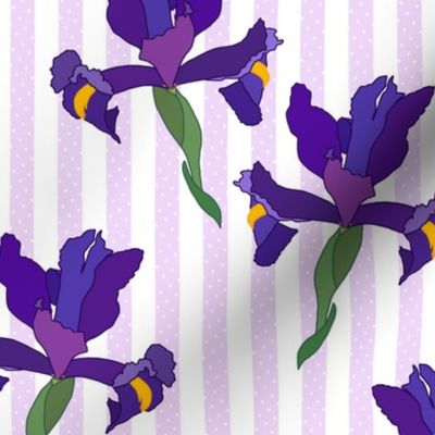 Iris Flutter! (Dutch Blue/violet) - lilac stripe, medium 