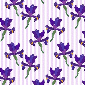 Iris Flutter! (Dutch Blue/violet) - lilac stripe, medium 
