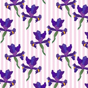 Iris Flutter! (Dutch Blue/violet) - pastel pink stripe, medium 