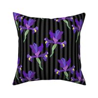 Iris Flutter! (Dutch Blue/violet) - charcoal stripe and spot, medium 