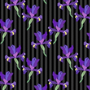 Iris Flutter! (Dutch Blue/violet) - charcoal stripe and spot, medium 