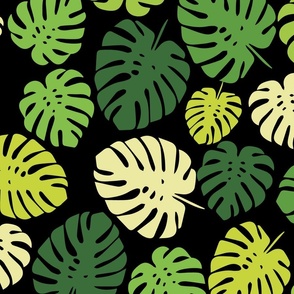 Monstera Mix Black background