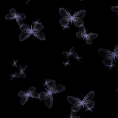 Dark Iridescent gossamer moths at midnight 