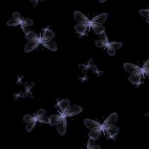 Dark Iridescent gossamer moths at midnight 