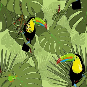 Large Black and Yellow Toucans - Tropic Leaves - Green
