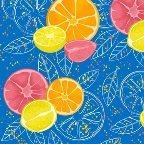 Summerfruits on blue -  large scale