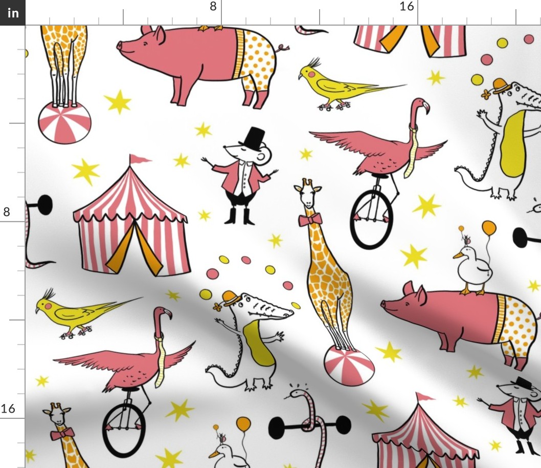 Animal Circus