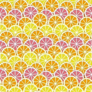 Citrus Slices - Lemon Orange Grapefruit