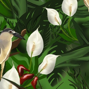 Large Jungle bird white flowers