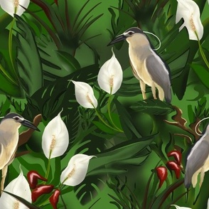Small Jungle bird white flowers