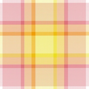 Plaid - Optimism Color Palette 