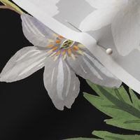 Gouache wood anemone floral black