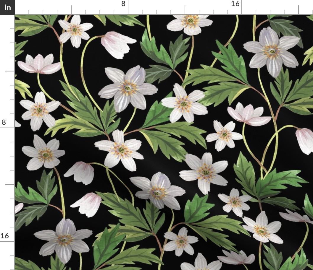 Gouache wood anemone floral black