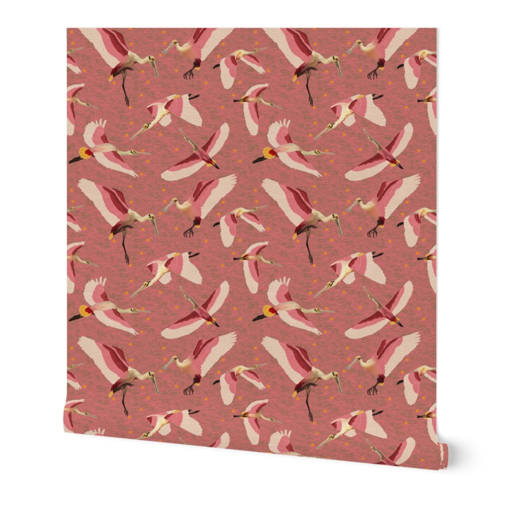 Roseate Spoonbill pink background