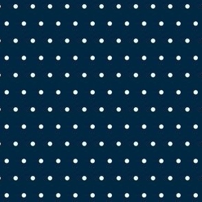 Navy With White Polka Dots (Small Scale)