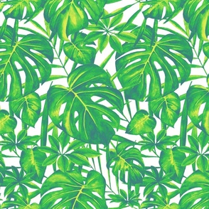 Watercolor green tropical foliage, jungle, rainforest, monstera leaves M