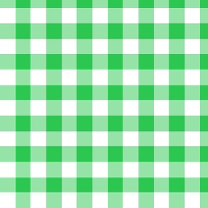 Green Gingham Fabric, Wallpaper and Home Decor
