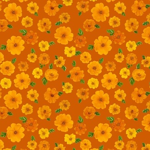 Floral cosmos orange pattern
