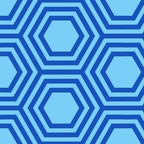 Blue Hexagons