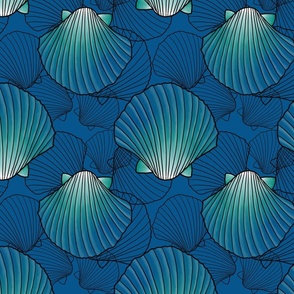 Layered sea shells 