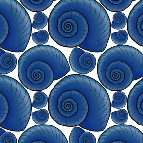 Blue sea shells 