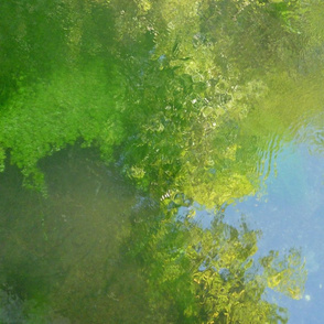 Reflections in a pond, Giverny, France