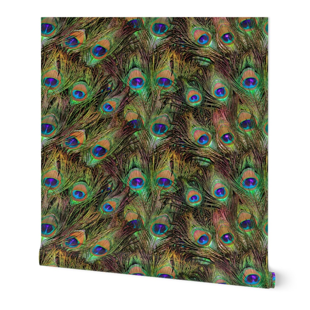 Peacock Feathers Invasion - Fans