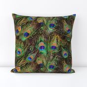 Peacock Feathers Invasion - Fans