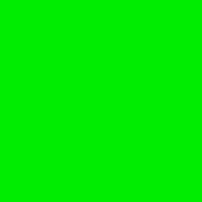 Flower Blanket - Solid Coordinate - Lime Green - 00ed01