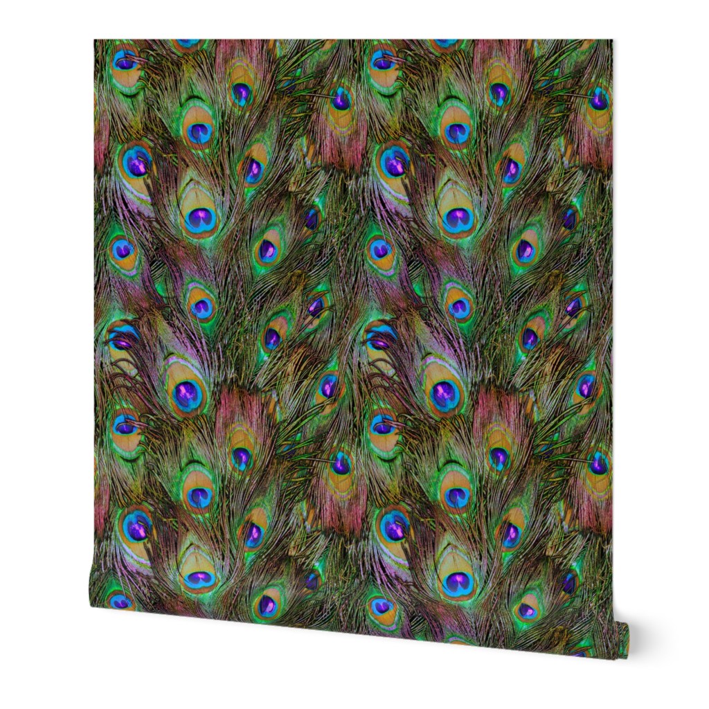 Peacock Feathers Invasion - Stripes