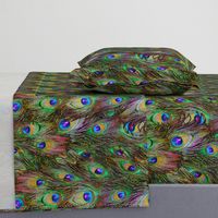 Peacock Feathers Invasion - Stripes