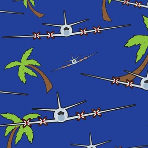 Airplanes and Palm Trees