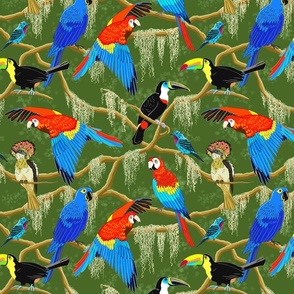 Rainforest birds 12x12