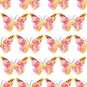 Butterfly Fun