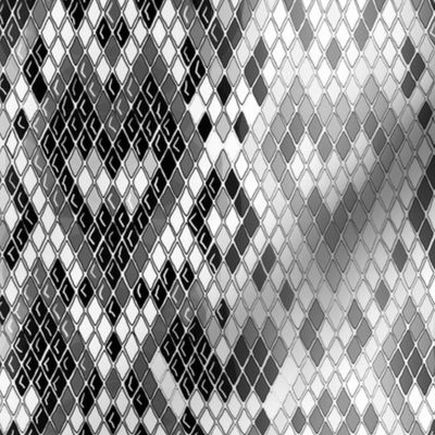 Snake hearts 8x16 black and white
