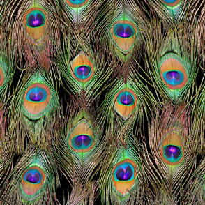 Peacock Feathers Invasion - Singles