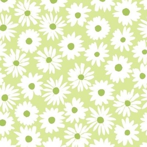 229 Daisies lime