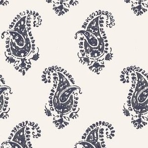 Essential Paisley Navy on Cream