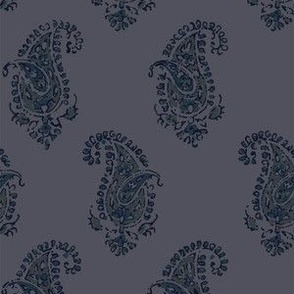 Essential Paisley Navy on Blue