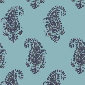 Essential Paisley Navy on Aqua