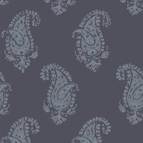 Essential Paisley Light on Navy