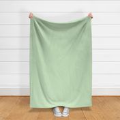 Soft Pastel Green Solid Color CBE5C2