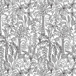 Coloring Book Jungle Floral Doodle Tropical Palm Trees Monstera Plants and Toucan Line Drawing in Black and White - SMALL Scale - UnBlink Studio by Jackie Tahara