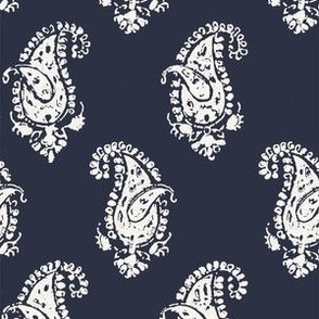 Essential Paisley Cream on Navy Gray