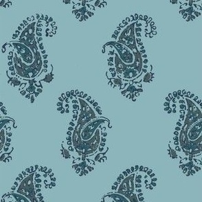 Essential Paisley Aqua on Aqua