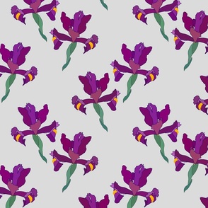 Iris Flutter! (Violet/Plum) - silver grey, medium 