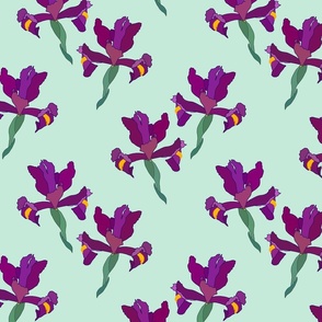 Iris Flutter! (Violet/Plum) - sea glass green, medium 