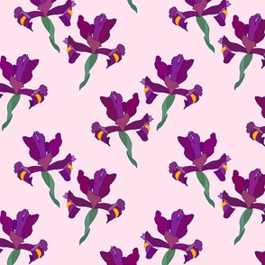 Iris Flutter! (Violet/Plum) - cotton candy pink, medium 