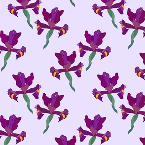 Iris Flutter! (Violet/Plum) - soft lilac, medium 